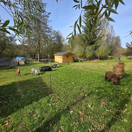 Farma U Lesa Appartement Hlinsko Buitenkant foto