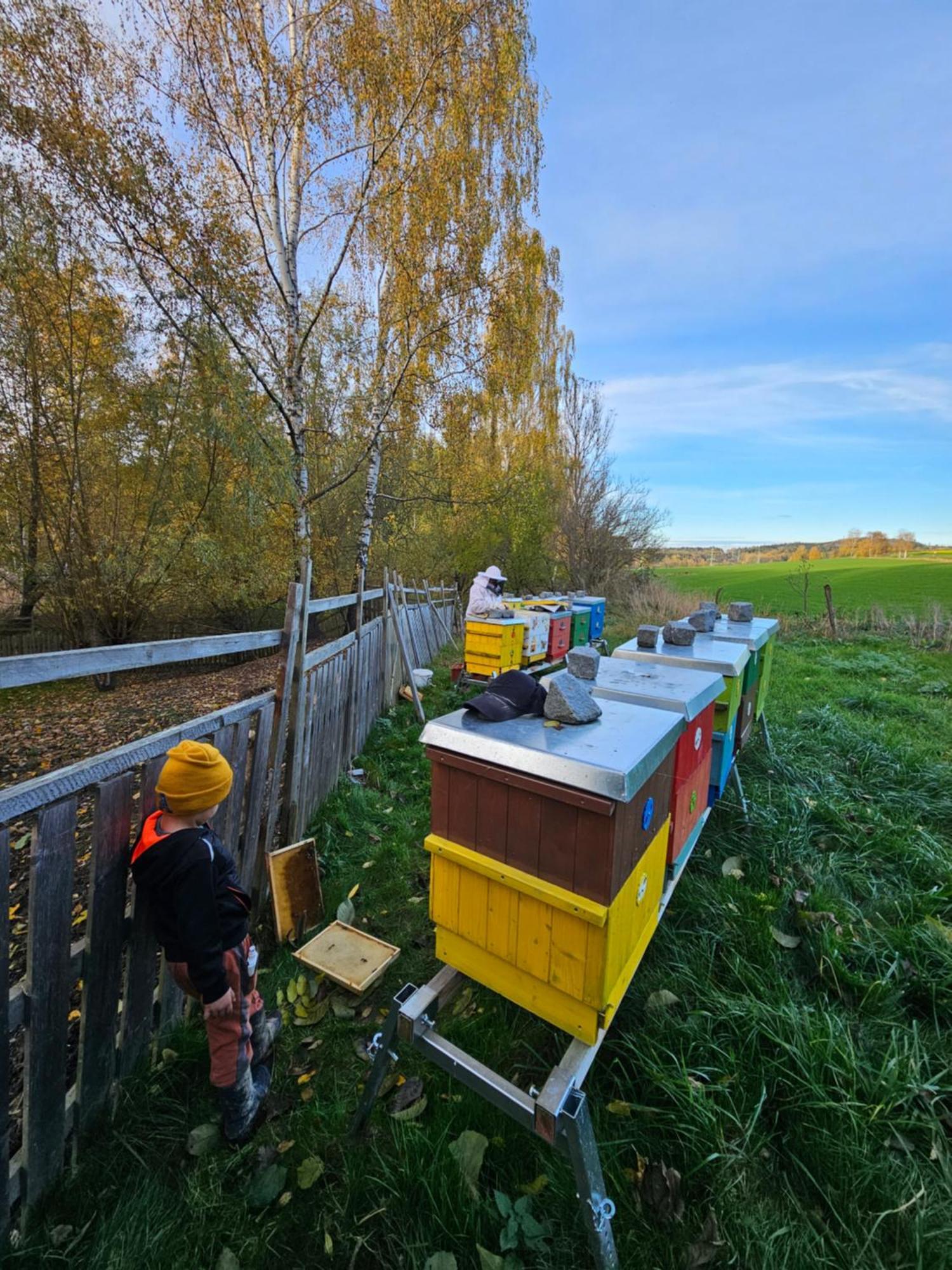 Farma U Lesa Appartement Hlinsko Buitenkant foto
