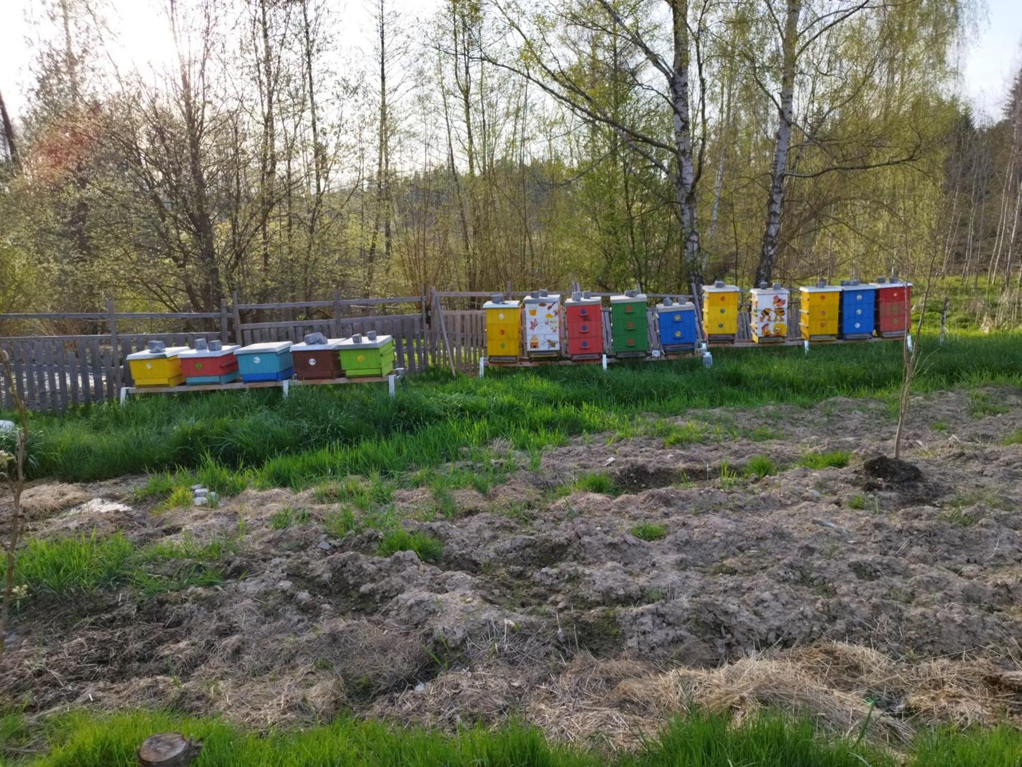 Farma U Lesa Appartement Hlinsko Buitenkant foto